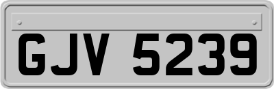 GJV5239