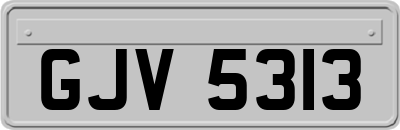 GJV5313