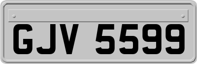 GJV5599