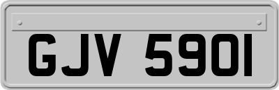 GJV5901