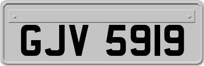 GJV5919