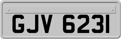 GJV6231