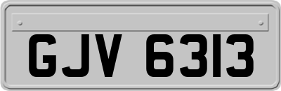 GJV6313
