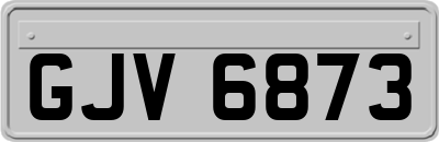 GJV6873