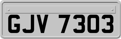 GJV7303