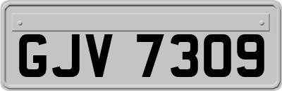 GJV7309