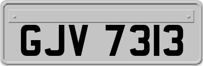 GJV7313