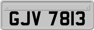 GJV7813
