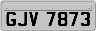 GJV7873