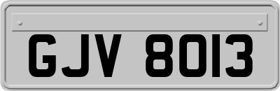 GJV8013