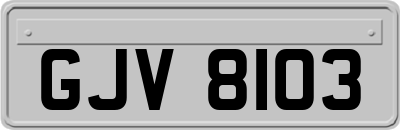 GJV8103