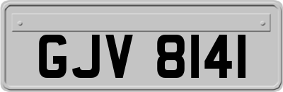 GJV8141