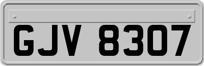 GJV8307