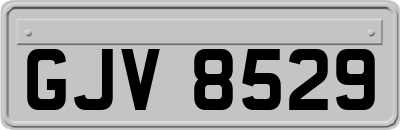 GJV8529