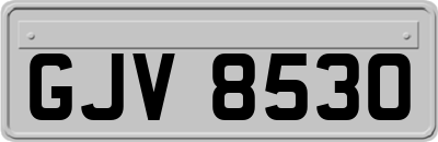 GJV8530