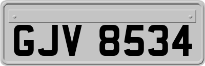 GJV8534