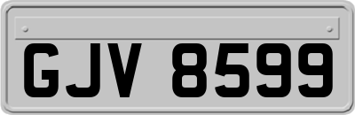 GJV8599