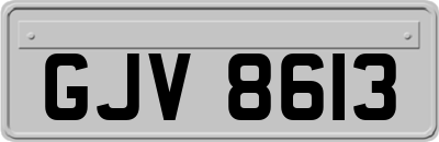 GJV8613