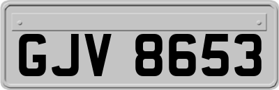 GJV8653