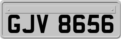 GJV8656