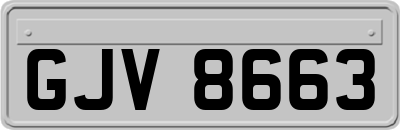 GJV8663
