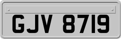 GJV8719