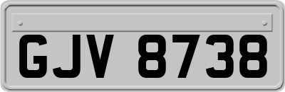 GJV8738