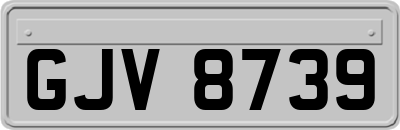 GJV8739