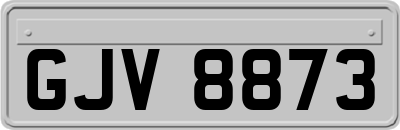 GJV8873