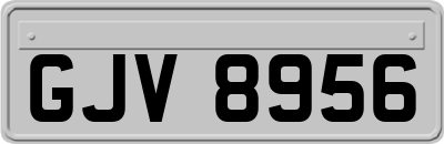 GJV8956