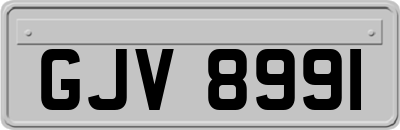 GJV8991