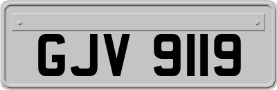 GJV9119