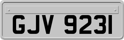 GJV9231
