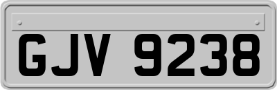 GJV9238