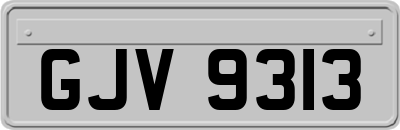 GJV9313