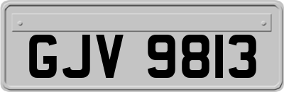 GJV9813