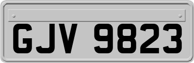 GJV9823