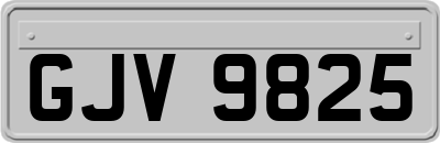 GJV9825