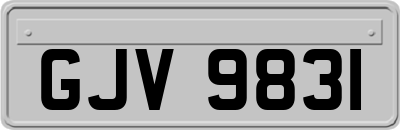 GJV9831