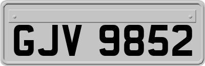 GJV9852