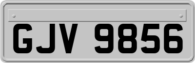 GJV9856