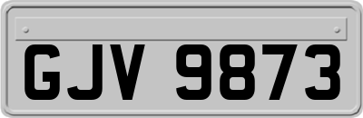 GJV9873