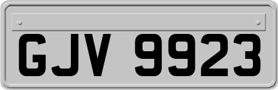 GJV9923