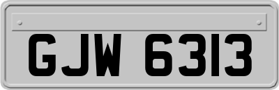 GJW6313