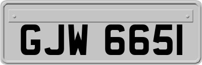 GJW6651