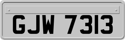 GJW7313