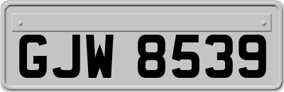 GJW8539