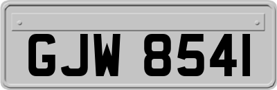 GJW8541