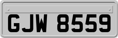 GJW8559