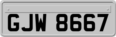 GJW8667
